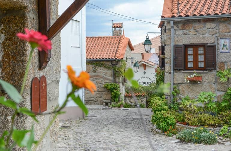 A street with many small houses.