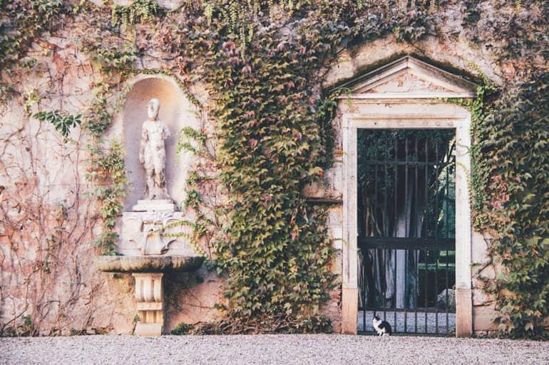 Gato en el Giardino Giusti en Verona