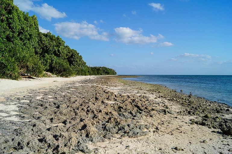 The shore of the lonely beach at Kaiji, the Japanese island of Taketomi in the Yaeyama Islands, is lined with dense dark green plants, the sandy beach is strewn with stones, and the sea shimmers deep blue.