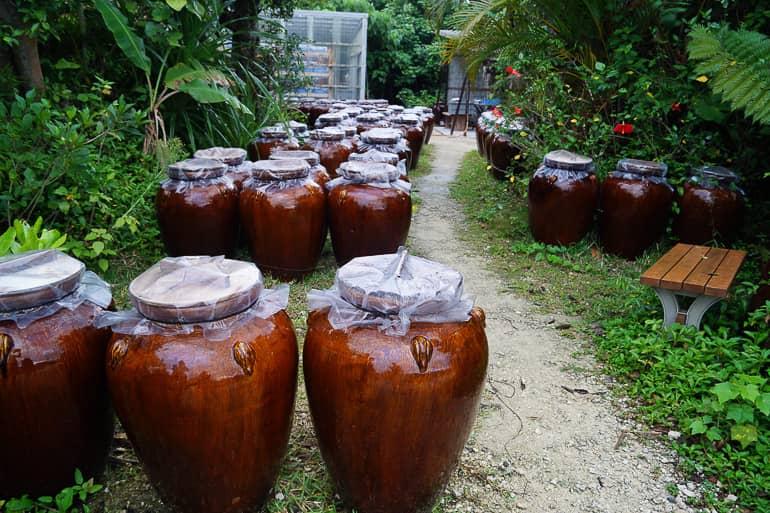 In the backyard garden of the Ishigaki Island Salt Factory on the Yaeyama Islands, sea salt is stored in closed large brown ceramic jars.