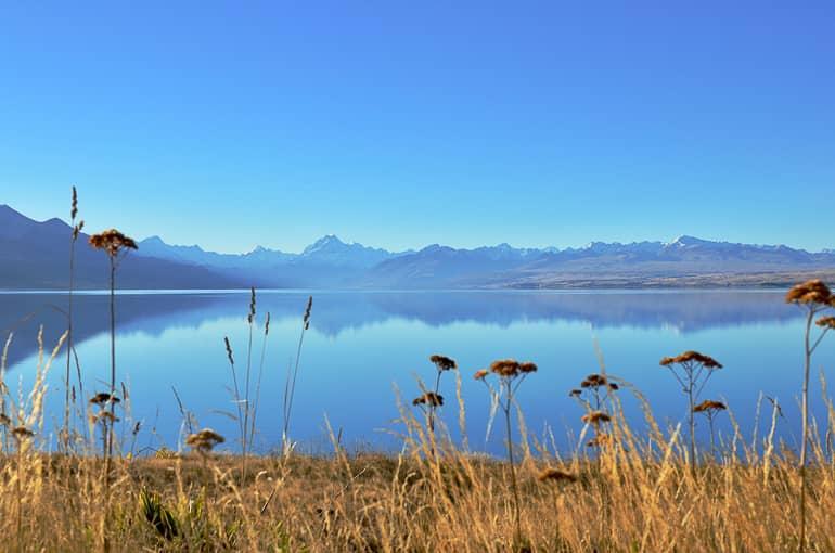 Blog de viajes Travellers Insight Nueva Zelanda Isla Sur Roadtrip Pukaki
