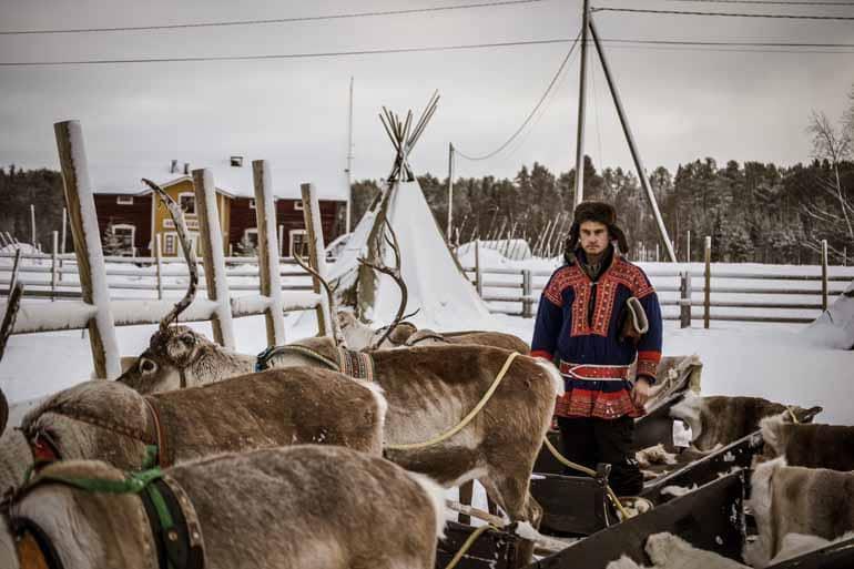 Finnish Lapland: A reindeer enclosure with a man standing inside.