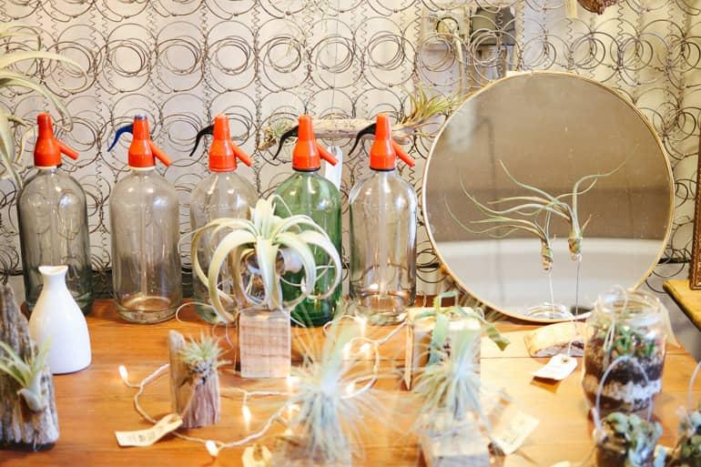 En la pequeña tienda de antigüedades In Progress en Santa Catalina, Palma, se venden botellas de soda y plantas aéreas.