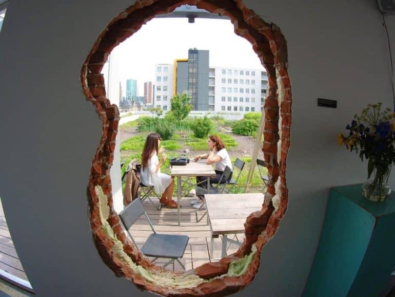 A través de un agujero en la pared, los clientes del café en la azotea Op het Dak de Róterdam pueden ver el jardín del local desde adentro.