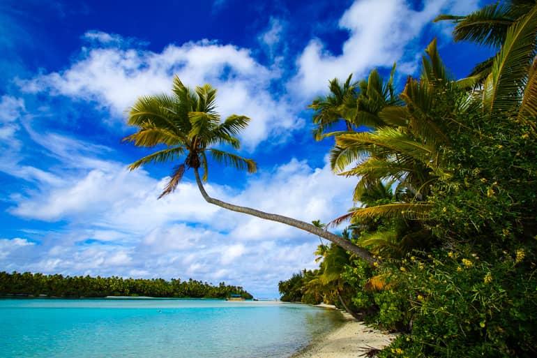A crooked palm tree poses beautifully on the beach of One Foot Island.