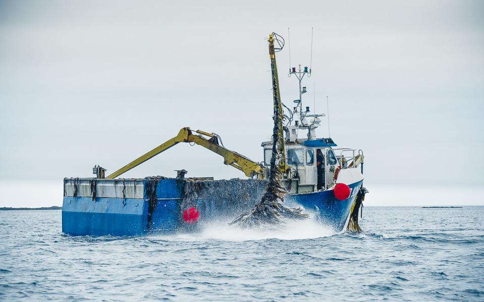 Bretagne-Finistere-Scooby-Doo-2